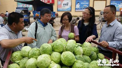 中国农副土特产品开发公司董事长在武山调研(图)