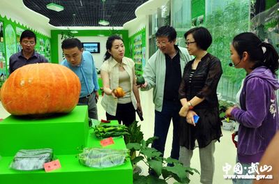 中国农副土特产品开发公司董事长在武山调研(图)--天水在线