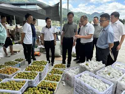 黔南州社:州政协调研全州推进供销系统基层社恢复重建工作