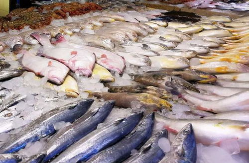 鲤鱼价格翻倍,鲫鱼上涨6元,草鱼涨破10元 水产品市场咋回事
