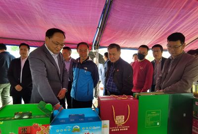 展销会迎来远方客人, 孝昌土特产品受追捧!