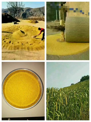 你好 首先我们这农副土特产品比较多 要怎么运营?