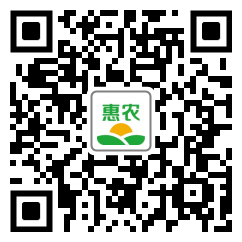 [苦参 贵州农副土特产品非种植无硫中药材苦参干货产地直发一手货源价格10斤