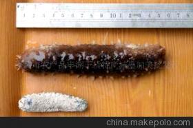 【特级日本冲子参(图)】价格,厂家,图片,干制水产品,深圳市农产品丰湖干货特产城墨加美批发行-