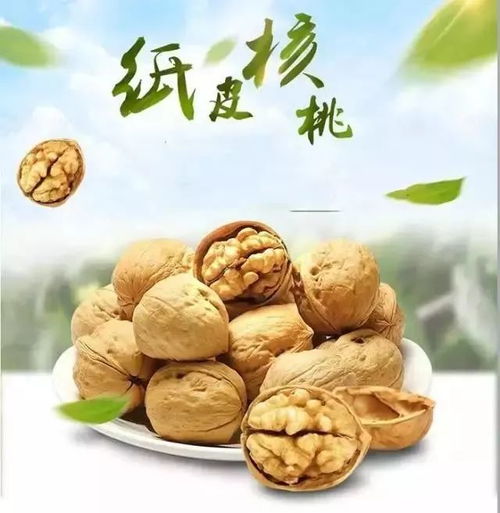大张第二届新疆特产节 新疆直采,好产地,好品质,好价格