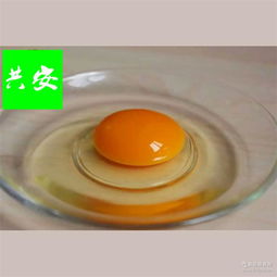 鸡蛋批发 鸡蛋价格