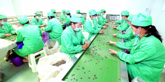 灵宝市某企业加工农副产品出口日韩