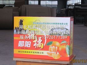 网络