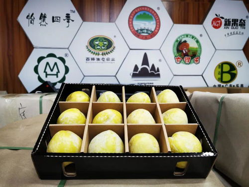 乐昌九峰镇以党建引领发展特色农业 产业兴旺助力脱贫致富