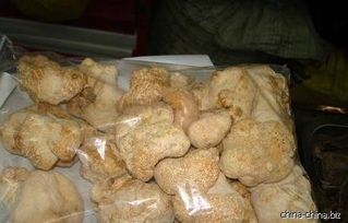 土特产 农副产品 猴头菌
