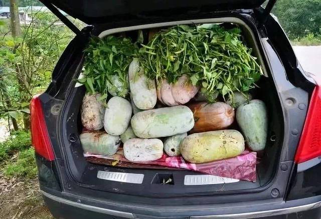 周末跟我们一起 让新鲜蔬菜塞满你的后备箱!