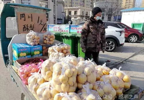 原平市农副土特产品年货市场 唱主角