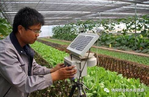 你想返乡回乡创业吗 告诉你农业的六大创业方向