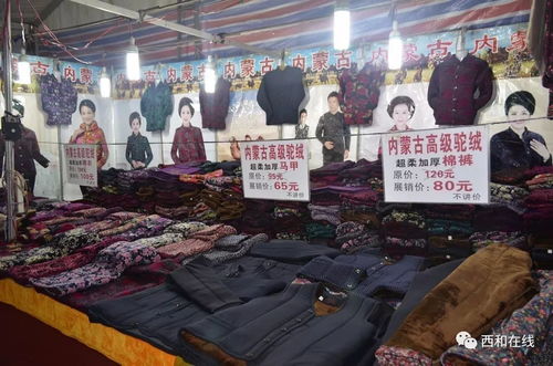 明天快到西和向阳广场领菜籽油了,仅限前500人