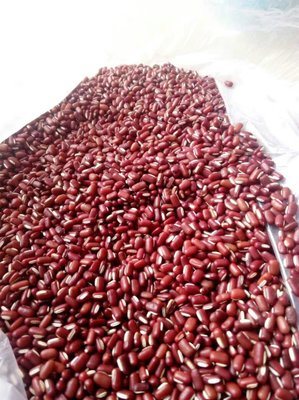 [赤小豆批发]安徽亳州利辛县赤小豆 6.50元/斤赤小豆赤小豆农 _ 一亩田