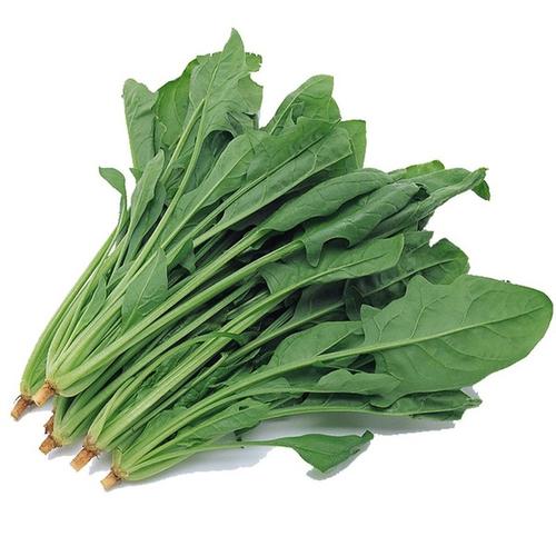 任丘特产小吃网,农副产品
