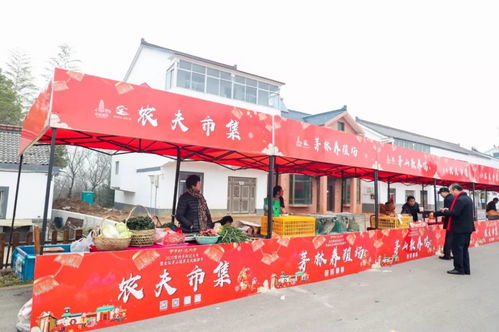 仙味乡村年味浓,2020常州乡村过大年暨金坛茅山道养文化旅游节盛大开幕