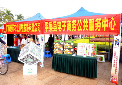 整合优势资源,促进电商融合,广西平果“电商扶贫”动起来